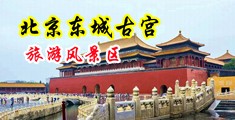 逼大好操还是逼小好操视频流水中国北京-东城古宫旅游风景区